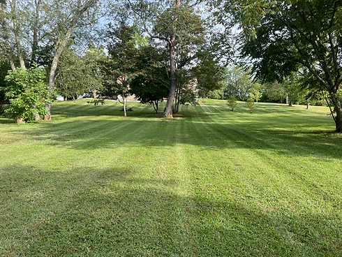 Yaweh’s Yards 1.heic