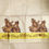 Thumbnail: Radha Krishna Tissue Saree