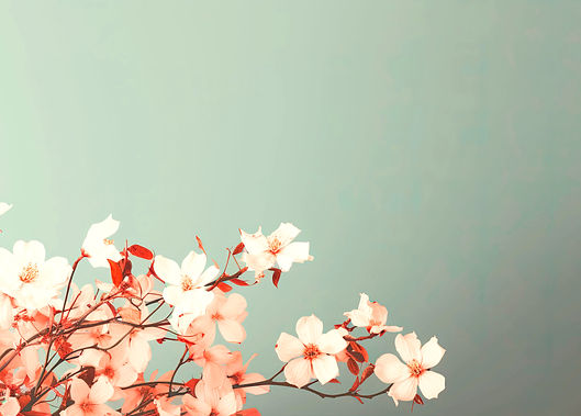 Cherry Blossom_edited_edited_edited.jpg