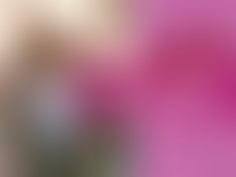 Marathonlopers opgelet! Gratis webinar: 'Voedingsadvies voor jouw (halve) marathon'