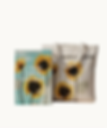 livro+ecobag.png