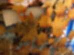 Leafs panels
