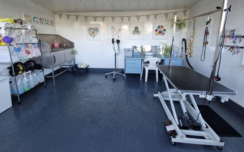Dog Grooming Room with a desk