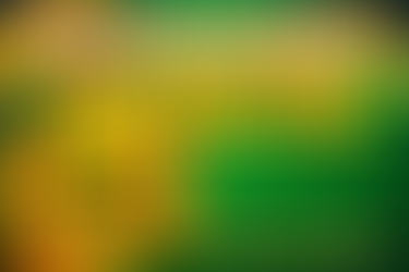 First Time Home Buyer Basic Tips