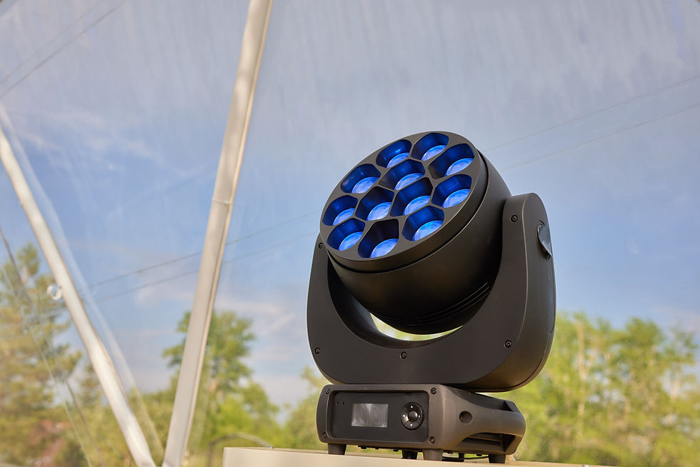 Illuminazione con faretti verdi.jpg