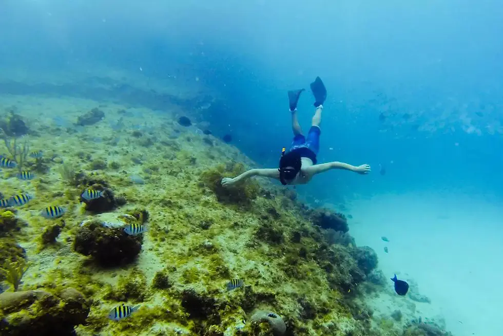 Miniatura: PACOTE INDIVIDUAL - SAN ANDRÉS