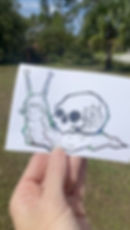 Skull Snail Decal -  Trippy Snail  car truck window laptop tumbler