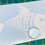 Thumbnail: Skeleton Fish Sticker