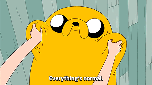 tumblr_m8q4adwg1g1qfy2kdo1_500.gif