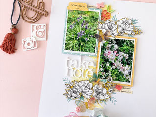 May Fox Box | Morag Cutts