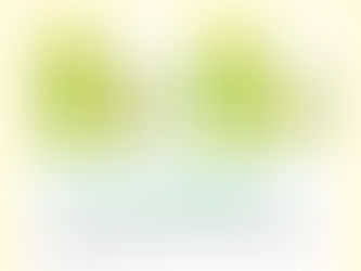 風邪の予防法は◯◯で決まり