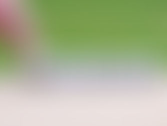 Difference Between Pennsylvania’s First- and Second-Class Townships