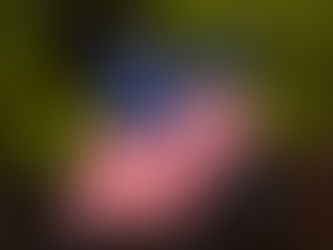 Historical Towns and Modern Municipal Challenges: Preserving Pennsylvania's Heritage Amid Growth