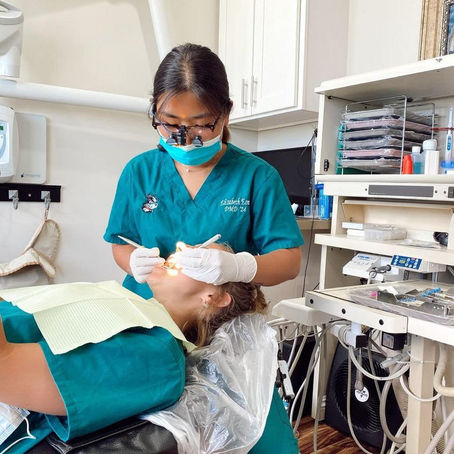 Liz's Pre-Dental Guide