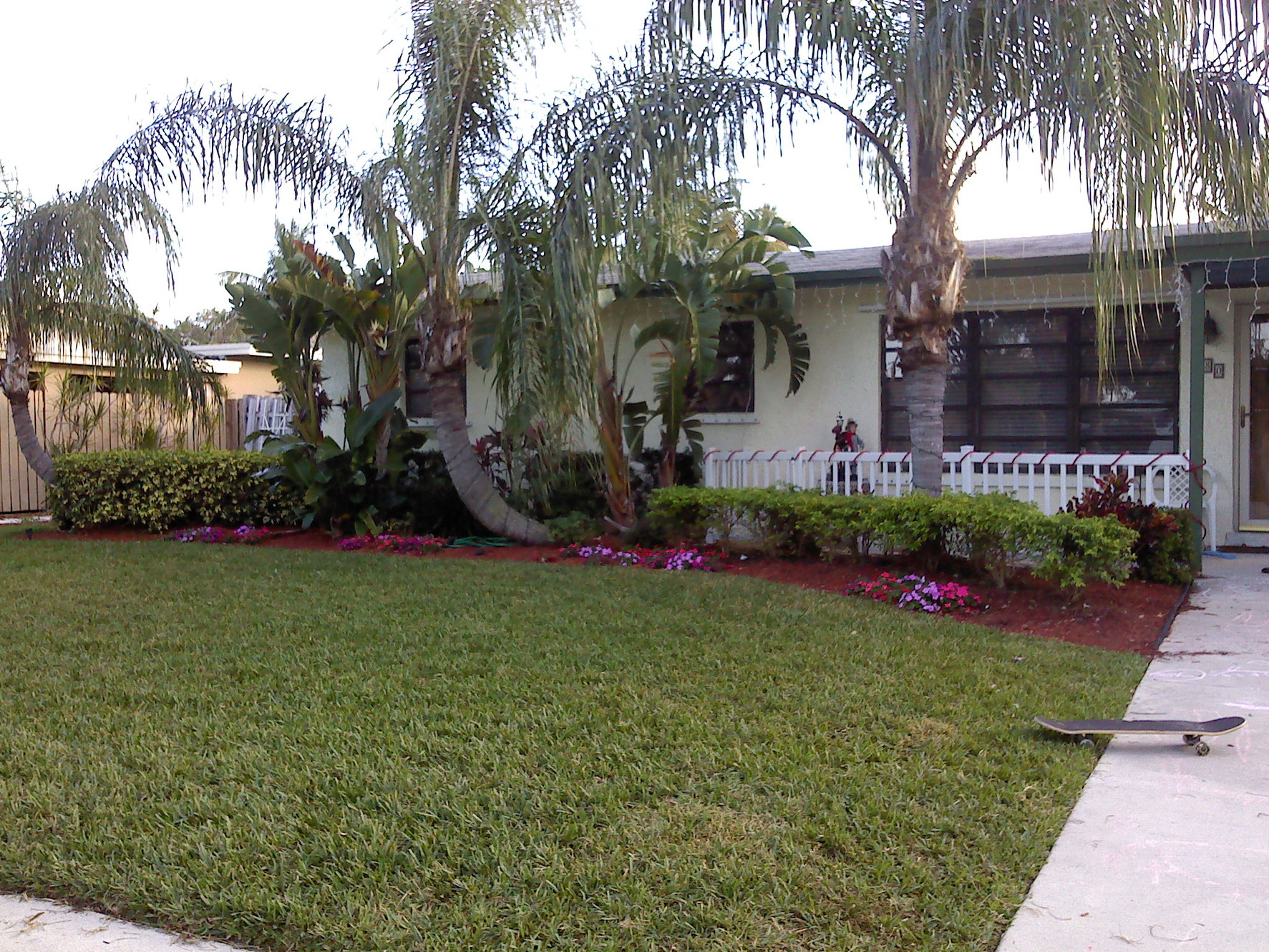 Gallery greenerpastures