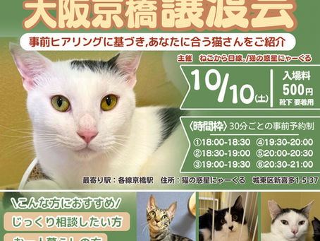 10月10日(土)は譲渡会!