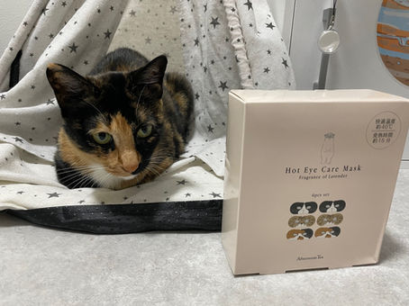 支援物資のお礼(7月〜8月15日)