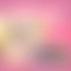 4月11日もふもふまみれの譲渡会！