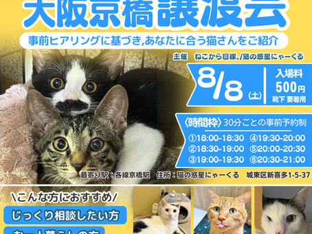 8月8日は譲渡会!詳細はこちら