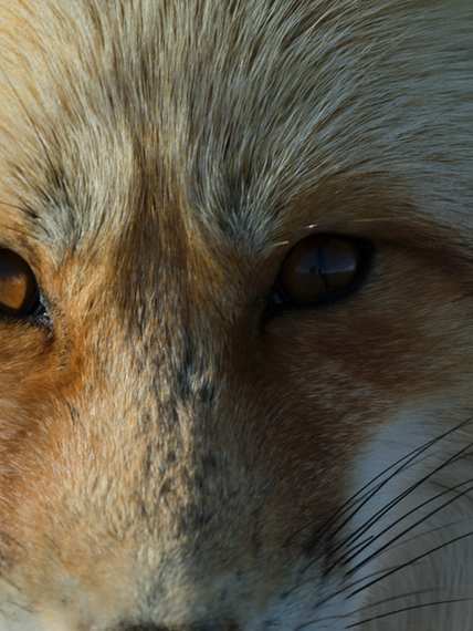 Screen Shot 2022-04-15 at 2.15.06 pm.png