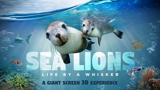 SEALIONS_3D_KEYART_HORIZONTAL_16x9.jpg