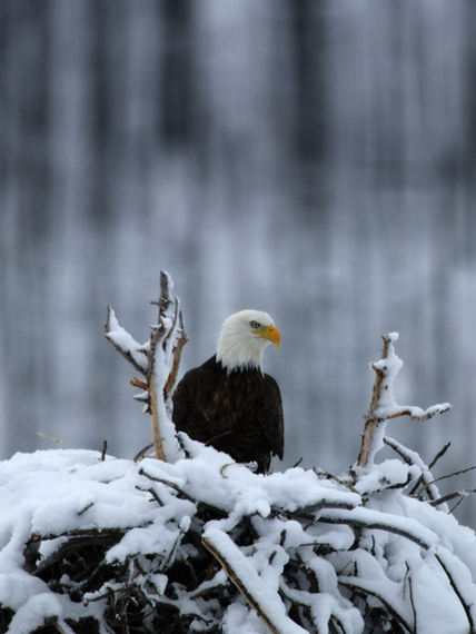 Screen Shot 2022-04-15 at 12.57.06 pm.png