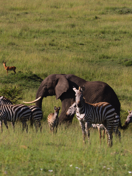 Screen Shot 2022-04-15 at 8.38.14 am.png