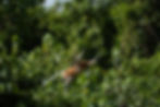 DSCF1702.jpg