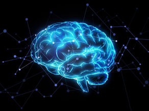 Your Brain Versus the World: How Neuroscience Can Save the World Part 1