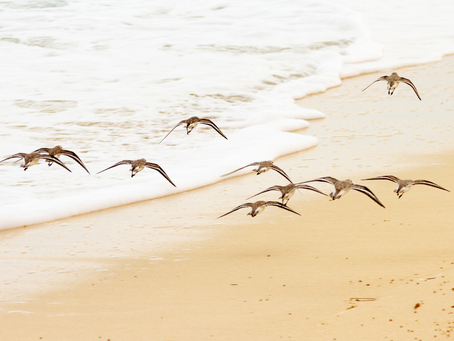 Awakening awakening is rarely looks like we expect