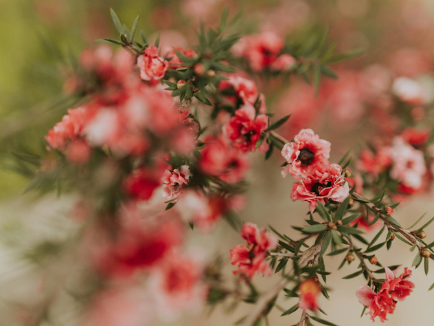 A reflective piece about overcoming negative thought patterns, using prayer, journaling, and creative expression to heal, and finding inner light during moments of darkness and emotional struggle.