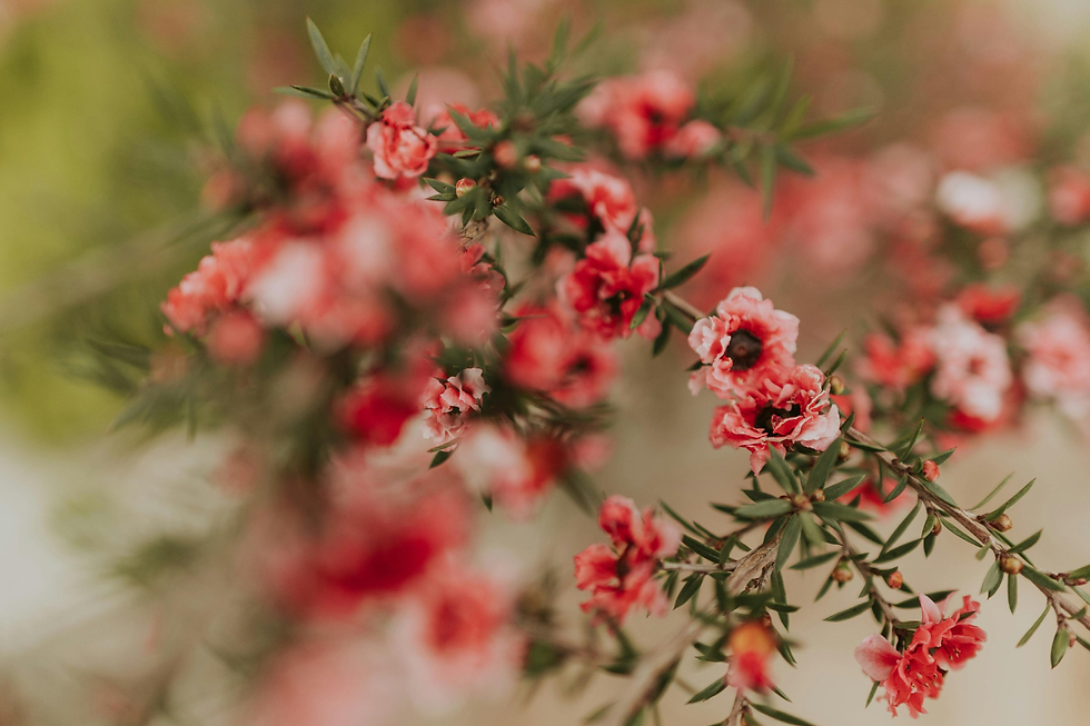 A reflective piece about overcoming negative thought patterns, using prayer, journaling, and creative expression to heal, and finding inner light during moments of darkness and emotional struggle.