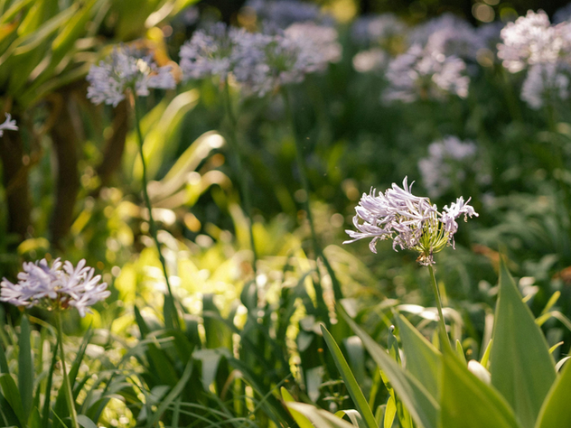 A soft, reflective piece about personal transformation and inner awakening, describing the shift from seeing life as a struggle to understanding it as a journey of self-discovery and growth.