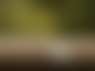 A reflective piece describing the early stage of a dark night of the soul, marked by deep questioning, emotional disconnection, shifting relationships, and the beginning of an inward spiritual journey.