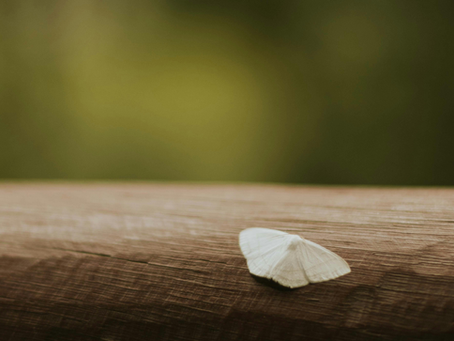 A reflective piece describing the early stage of a dark night of the soul, marked by deep questioning, emotional disconnection, shifting relationships, and the beginning of an inward spiritual journey.