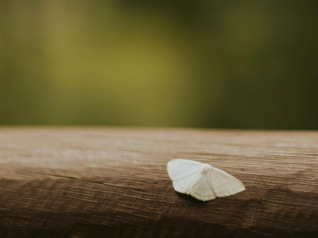 A reflective piece describing the early stage of a dark night of the soul, marked by deep questioning, emotional disconnection, shifting relationships, and the beginning of an inward spiritual journey.