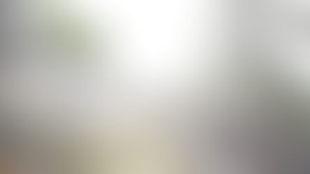 Kulinarik im Café Luitpold