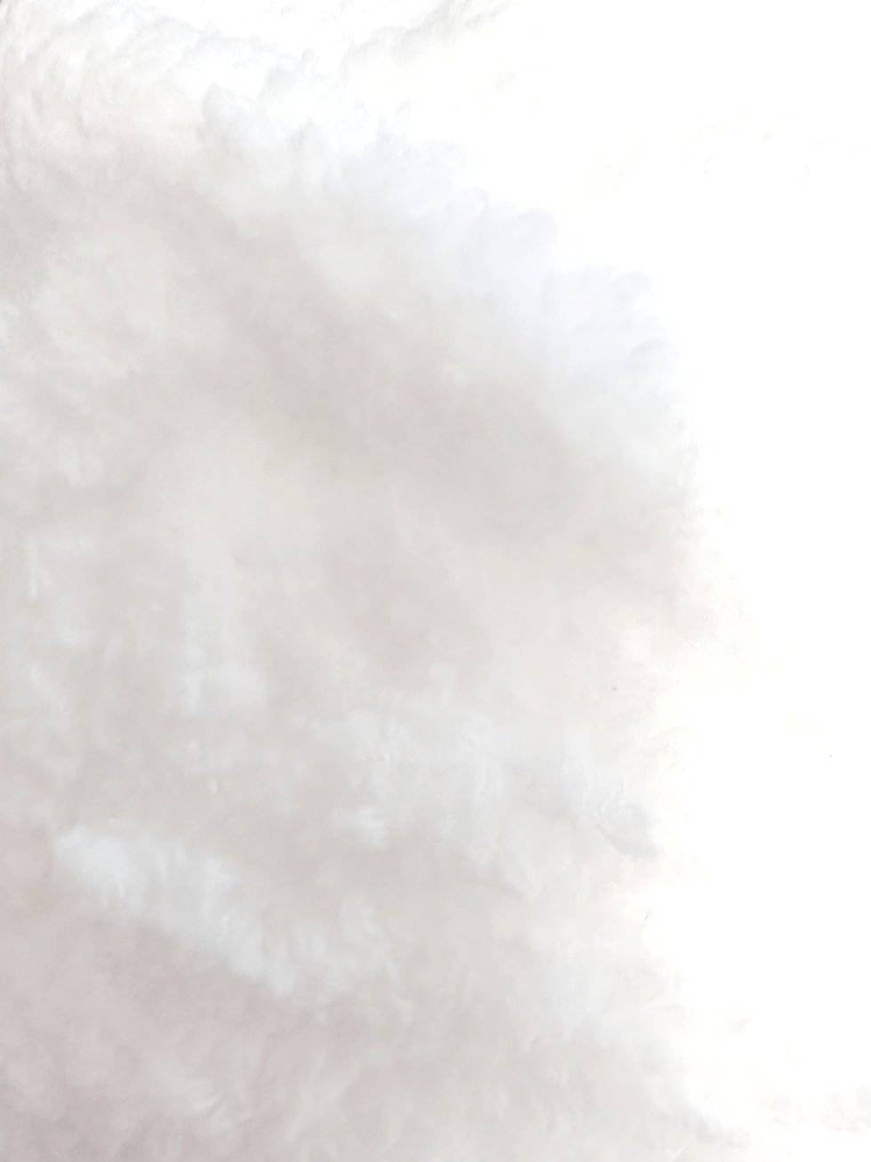 Thumbnail: chunky chenille dog bed