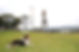 DSC_1969.JPG