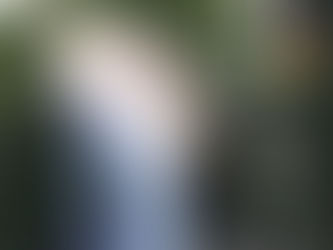 やばはく2025秋がスタートします!