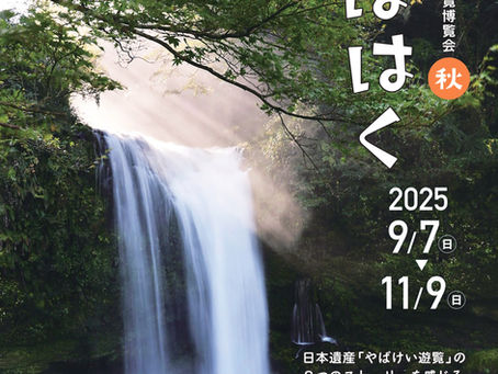 やばはく2025秋がスタートします!