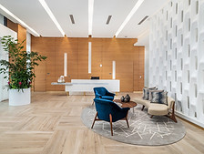 Sole-Mia_Lobby-Michael-Wolk-Design.1.jpg