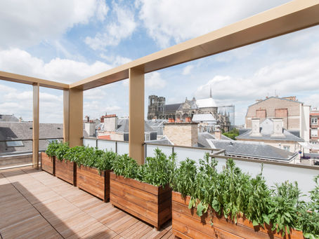 Vue d'un des rooftop de la Villa Palatine à Reims