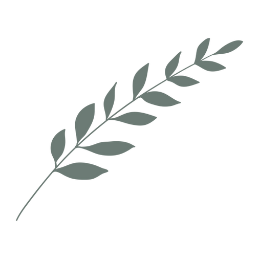 elements-graphique-olene_FEUILLE 5-OLENE