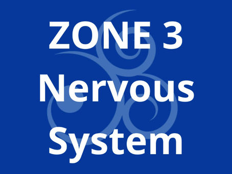ZONE 3 - NERVOUS SYSTEM
