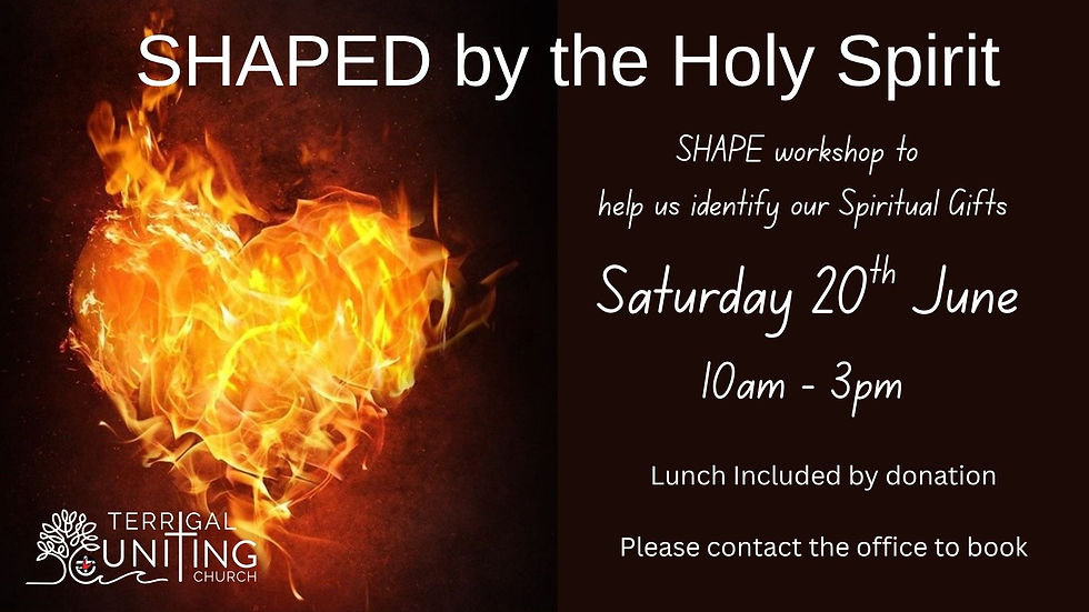 SHAPED by the Holy Spirit