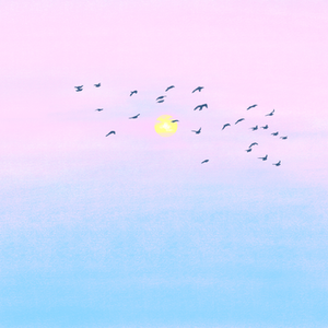 IMG_0506.png