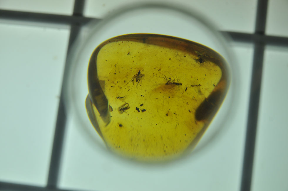 Amber