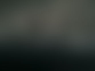 Misverstanden over boomverzorging 2