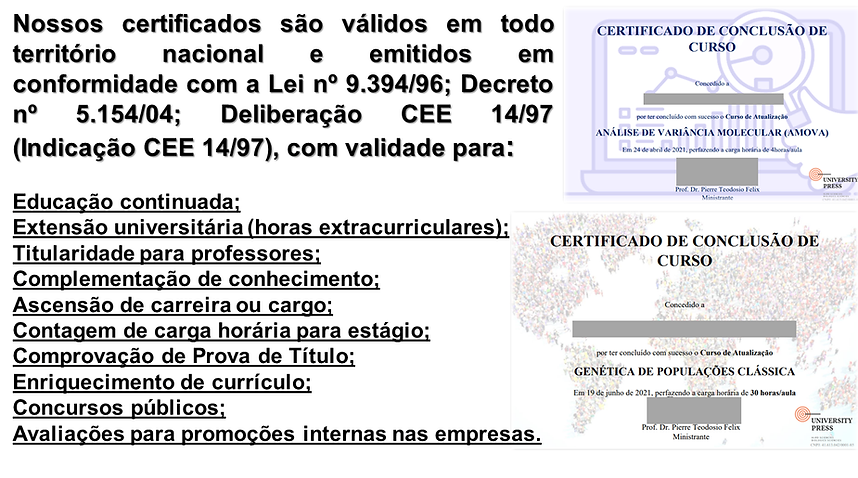ApresentaçãoBBB1.png